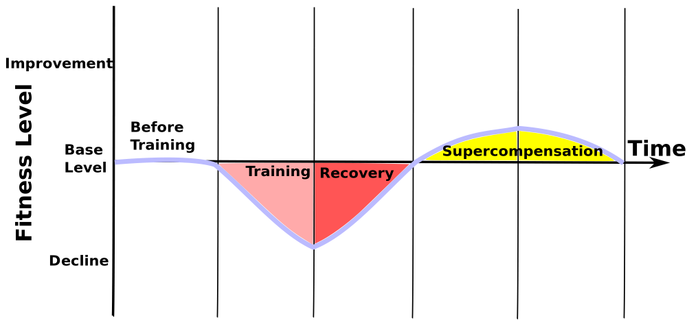 Supercompensation (Wikipedia)